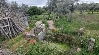 Terreno de 2375 m² em Castelo Branco