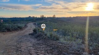 Terreno de 94 720 m² em Castelo Branco