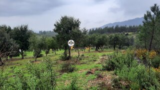 Land for sale in Vila Velha de Ródão, Portugal — €8,500