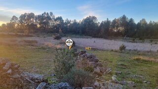 Terreno de 3960 m² em Castelo Branco