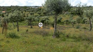 Terreno de 3250 m² em Castelo Branco
