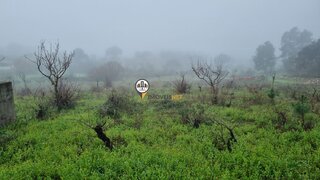 Land for sale in Castelo Branco, Portugal — €31,000
