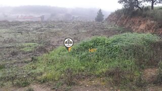 Terreno de 600 m² em Castelo Branco