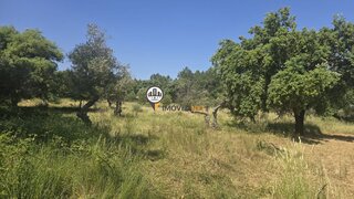 Terreno de 3040 m² em Castelo Branco