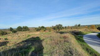 Terreno de 65 760 m² em Castelo Branco