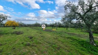 Terreno de 1750 m² em Castelo Branco