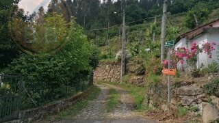 Terreno em Ribeira de Pena