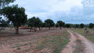 Land for sale in Alpiarça, Portugal — €35,000