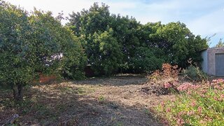 Terreno de 369 m² em Santarém