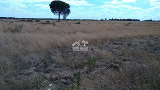 Land for sale in Salvaterra de Magos, Portugal — €164,000