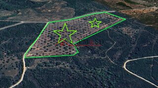 Terreno de 58 400 m² em Santarém