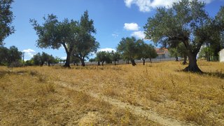 Land for sale in Tomar, Portugal — €80,000