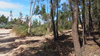 Land for sale in Torres Vedras, Portugal — €25,000