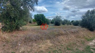 Land for sale in Torres Novas, Portugal — €120,000
