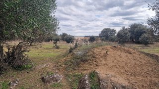 Terreno de 5067 m² em Évora