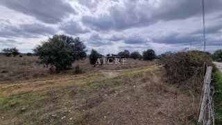 Terreno de 5025 m² em Évora