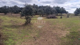 Terreno de 5100 m² em Évora