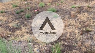 Terreno de 438 m² em Castelo Branco