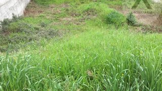 Terreno de 466 m² em Castelo Branco