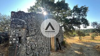 Terreno de 10 200 m² em Castelo Branco