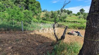 Land for sale in Albergaria-a-Velha, Portugal — €26,000