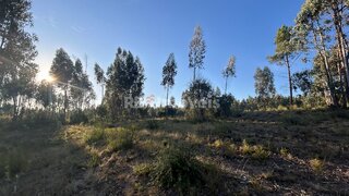 Land for sale in Tomar, Portugal — €18,200