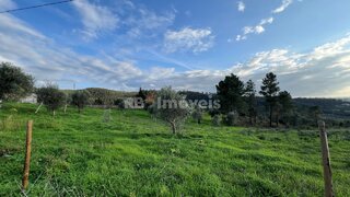 Land for sale in Tomar, Portugal — €104,920