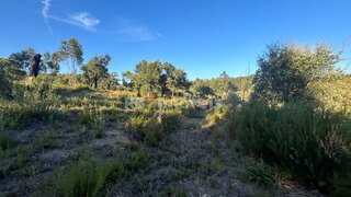 Land for sale in Tomar, Portugal — €3,500