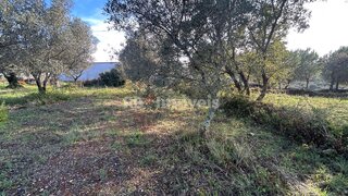 Land for sale in Tomar, Portugal — €4,000