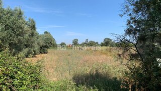 Land for sale in Torres Novas, Portugal — €25,000