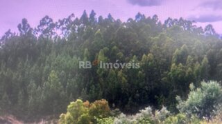 Terreno · 9040 m² · 6000 €