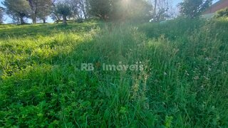 Land for sale in Tomar, Portugal