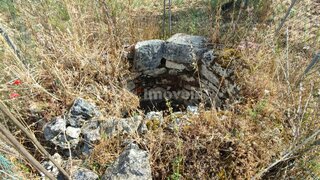 Land for sale in Torres Novas, Portugal — €20,000