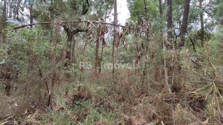 Land for sale in Ferreira do Zêzere, Portugal — €12,000