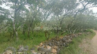Land for sale in Tomar, Portugal — €32,500
