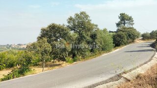 Land for sale in Torres Novas, Portugal — €7,500