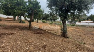 Land for sale in Constância, Portugal — €34,000