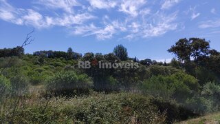 Land for sale in Torres Novas, Portugal — €7,000