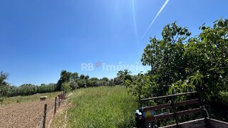 Land for sale in Tomar, Portugal — €6,000