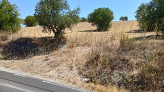 Land for sale in Torres Novas, Portugal — €6,900