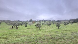 Land for sale in Torres Novas, Portugal — €71,500