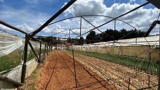 Land for sale in Ferreira do Zêzere, Portugal — €95,000
