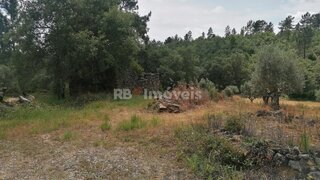 Land for sale in Tomar, Portugal — €15,000