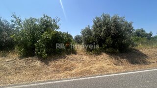 Land for sale in Torres Novas, Portugal — €37,000