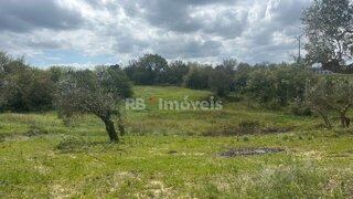 Land for sale in Tomar, Portugal — €95,000