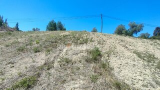 Land for sale in Tomar, Portugal — €7,500