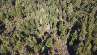 Land for sale in Tomar, Portugal — €30,000