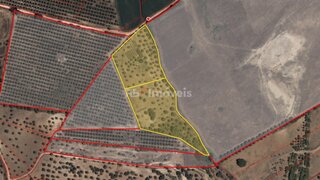 Land for sale in Torres Novas, Portugal — €22,500