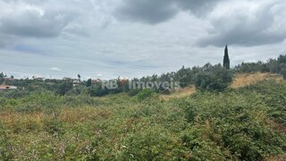 Land for sale in Tomar, Portugal — €4,000