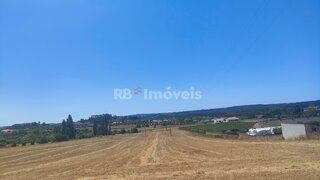 Land for sale in Tomar, Portugal — €51,000